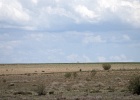 El Plañeron   R.Eveleens